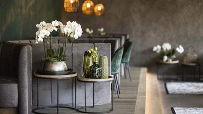 A natural wellness getaway in your home away from home