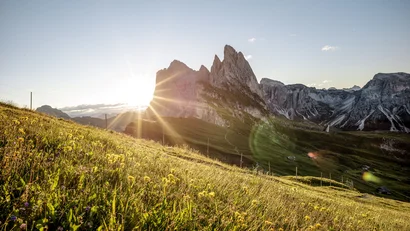 A natural wellness getaway in your home away from home